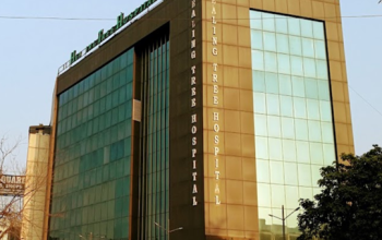Healing Tree Hospital