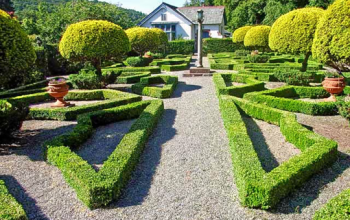 Dutch Garden