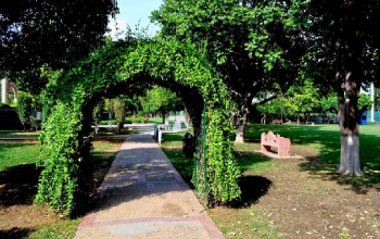Leisure Valley Park