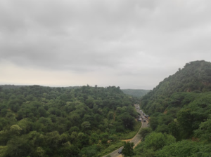 The Leopard Trail
