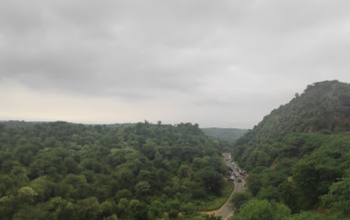 The Leopard Trail