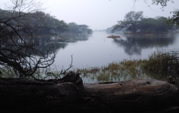 Sultanpur National Park