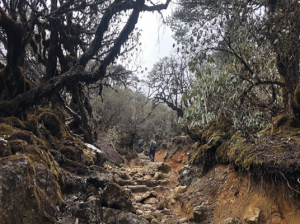 Goechala Trek