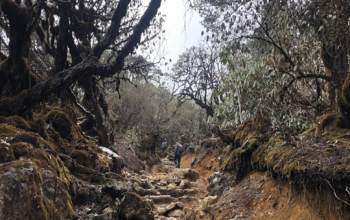 Goechala Trek