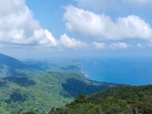 Saddle Peak Trek