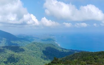 Saddle Peak Trek