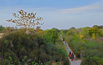 Aravali Biodiversity Park