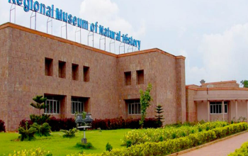 Regional Museum of Natural History
