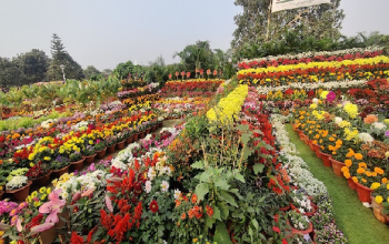 Ekamra Kanan Botanical Gardens