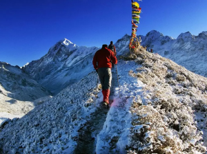 The Dzongri Nambu Trek