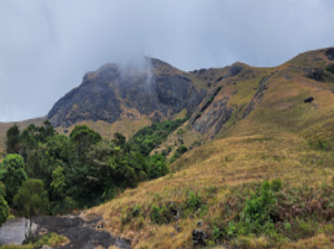 Eravikulam National Park