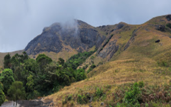 Eravikulam National Park