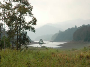 Periyar National Park