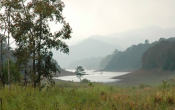Periyar National Park