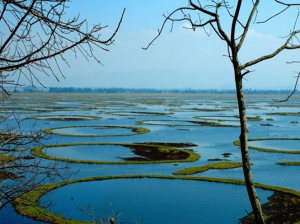 Loktak Lake