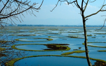 Loktak Lake