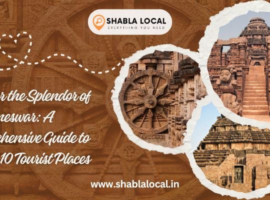 Discover the Splendor of Bhubaneswar: A Comprehensive Guide to the Top 10 Tourist Places
