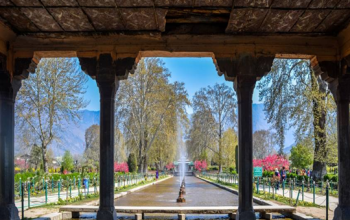 Shalimar Bagh Mughal Garden