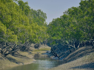 Sundarban National Park