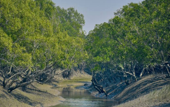 Sundarban National Park