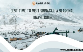 Best Time to Visit Srinagar: A Seasonal Travel Guide
