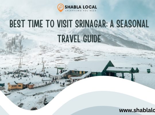 Best Time to Visit Srinagar: A Seasonal Travel Guide