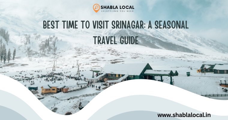 Best Time to Visit Srinagar: A Seasonal Travel Guide