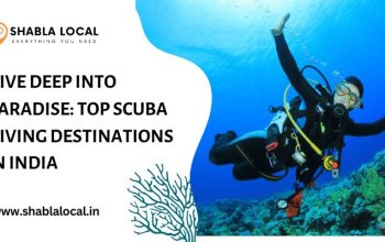 Dive Deep into Paradise: Top Scuba Diving Destinations in India