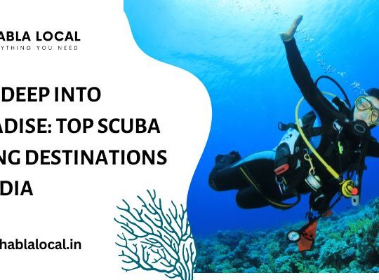 Dive Deep into Paradise: Top Scuba Diving Destinations in India
