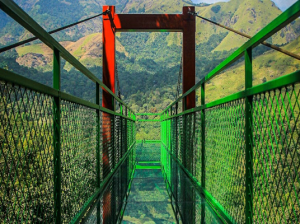 Wayanad Glass Bridge