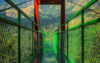 Wayanad Glass Bridge