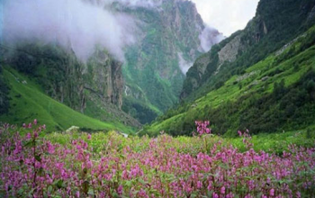 Nanda Devi National Park