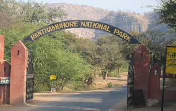 Ranthambore National Park