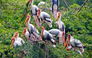 Keoladeo National Park