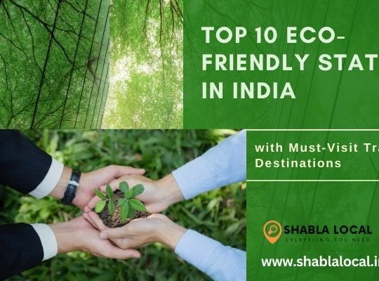 Top 10 Eco-Friendly States in India with Must-Visit Travel Destinations