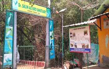 Dr. Salim Ali Bird Sanctuary