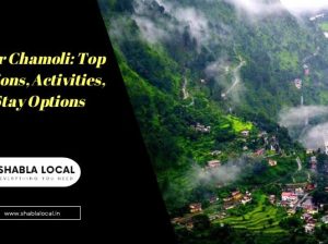 Discover Chamoli: Top Attractions, Activities, and Stay Options