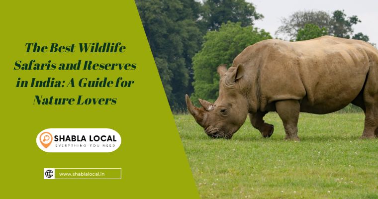 The Best Wildlife Safaris and Reserves in India: A Guide for Nature Lovers