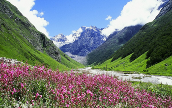 Valley of Flowers National Park