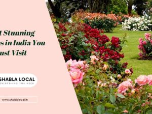 Most Stunning Gardens in India You Must Visit