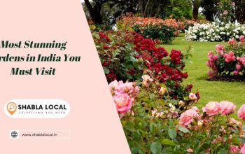 Most Stunning Gardens in India You Must Visit