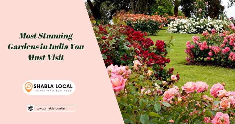 Most Stunning Gardens in India You Must Visit