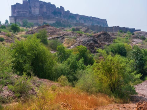 Rao Jodha Desert Rock Park