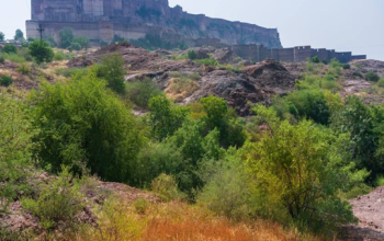 Rao Jodha Desert Rock Park