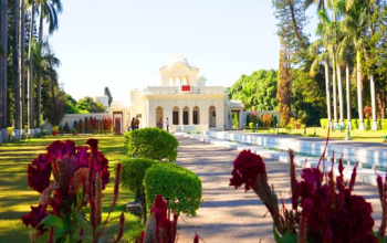 Yadavindra Gardens, Pinjore