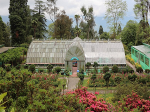 Lloyd Botanical Garden