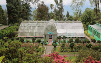 Lloyd Botanical Garden