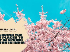 Exploring the Best Places to Visit in Spring Season in India