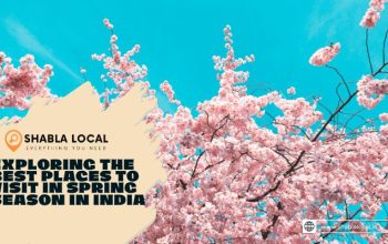Exploring the Best Places to Visit in Spring Season in India