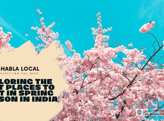 Exploring the Best Places to Visit in Spring Season in India